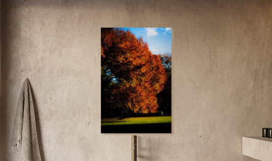 Brushed Metal Wall Art, Central Park Photo, the Tree